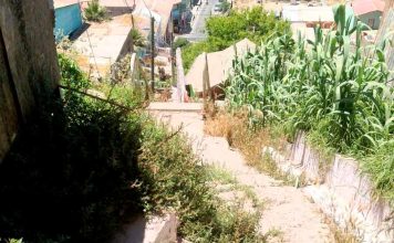 Vecinos se quejan que algunos zigzags de la Parte Alta solo sirven para juntar maleza y basura