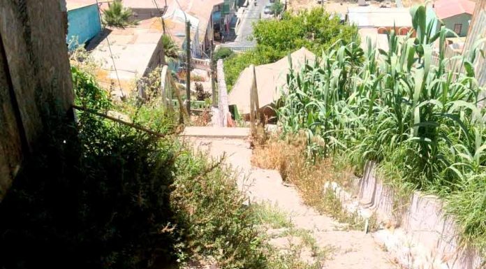 Vecinos se quejan que algunos zigzags de la Parte Alta solo sirven para juntar maleza y basura