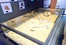 En Los Vilos el pasado susurra: Inauguran sala que expone al vestigio humano más antiguo de Sudamérica