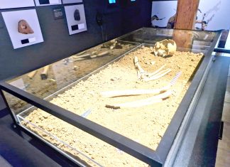 En Los Vilos el pasado susurra: Inauguran sala que expone al vestigio humano más antiguo de Sudamérica