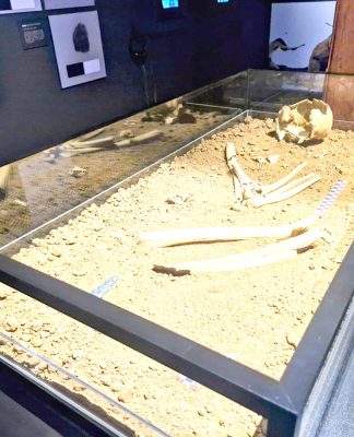 En Los Vilos el pasado susurra: Inauguran sala que expone al vestigio humano más antiguo de Sudamérica