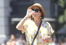 Senapred activa sistema preventivo ante temperaturas que podrían llegar a 34 grados