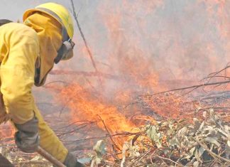 Sector agrícola teme por fuerte ola de calor