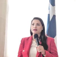 En Renovación Nacional siguen lamentando que diseño de lista «nos puso todo cuesta arriba»