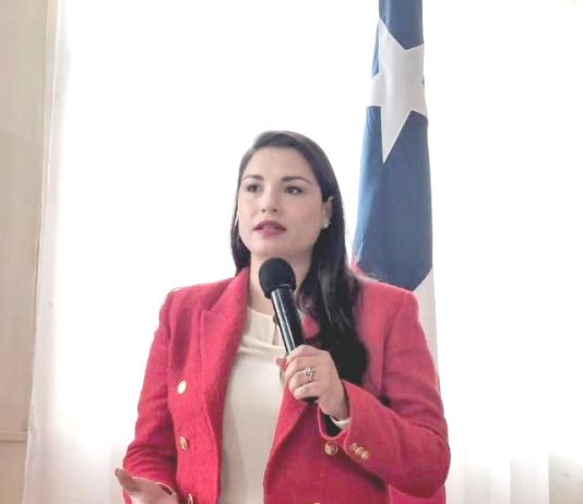 En Renovación Nacional siguen lamentando que diseño de lista «nos puso todo cuesta arriba»