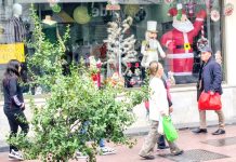 Las proyecciones del comercio navideño y cuándo sería el peak de compras