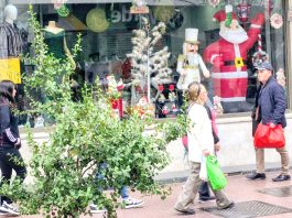 Las proyecciones del comercio navideño y cuándo sería el peak de compras