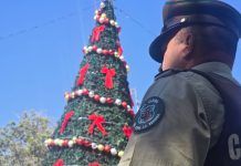Con foco en zonas comerciales y ferias de temporada, Carabineros lanza Navidad Segura en la región