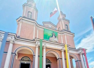 Devoción, bailes y comercio: miles de fieles honraron a la Virgen de Andacollo