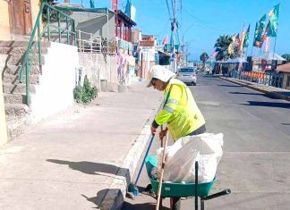 Comerciantes de Guanaqueros insisten en la anticipación para espantar a malandras