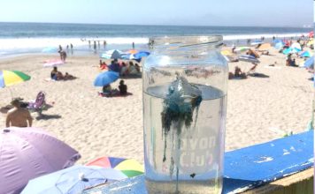 Levantan prohibición de baño en Puerto Velero, pero mantienen llamado a la precaución por fragata portuguesa