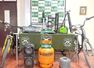 Delincuente atemorizaba a vecinos de Vicuña