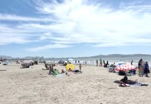 Falta de argentinos hace pericibir lento despegue de temporada