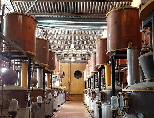 Especialistas en bebidas espirituosas de Reino Unido visitan destilerías de Región Coquimbo