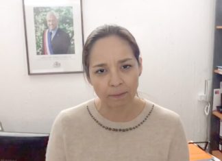 Extienden plazo de investigación para el Papayagate y se revisarían cautelares de Lucía Pinto