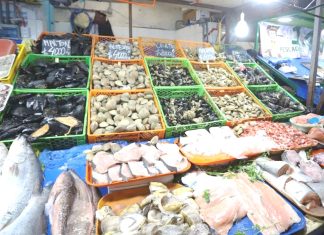 Prohíben extracción y consumo de mariscos en Tongoy tras detección de marea roja