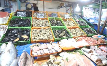 Prohíben extracción y consumo de mariscos en Tongoy tras detección de marea roja