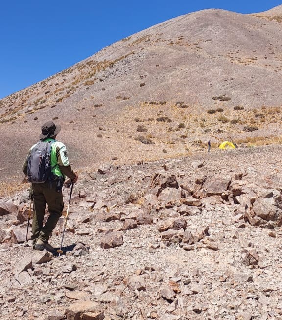 451955ec-0886-44dd-9bc1-1e5287e30a3d