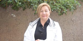 Cruces por Agua Negra caen casi un 30% en inicio de temporada y gremio turístico apunta a factor seguridad