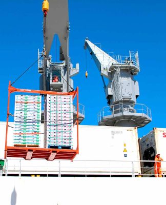 Primer embarque de fruta tuvo destino Los Ángeles, EE.UU