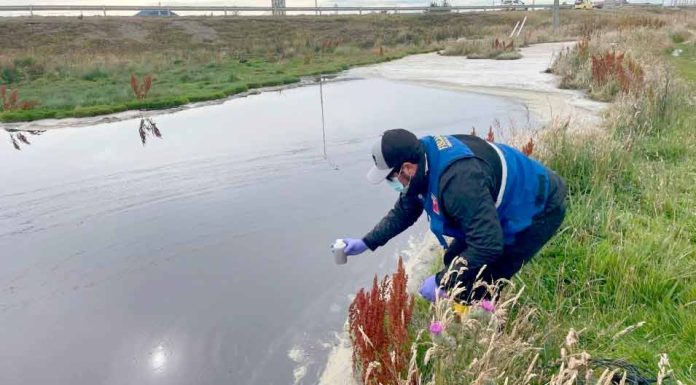 DGA explica qué se necesita para fiscalizar captaciones sospechosas de agua y cómo ingresar una denuncia