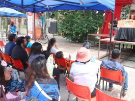 Día de los Patrimonios en Verano desplegó más de 60 actividades en toda la región