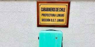 13 kilos de marihuana procesada incautada por olfato canino de Kairo