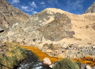 CORE pidió información «a la brevedad» para esclarecer color amarillo del agua