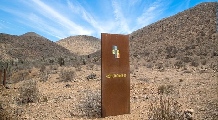 Dominga escala a nueva fase: presentan recurso de reclamación ante Justicia Ambiental