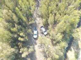 Camioneta robada estaba escondida en un bosque