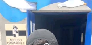 Rodrigo Holgado podrá jugar sin problemas la Copa Libertadores con Coquimbo Unido