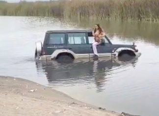 Ingreso de todoterreno a humedal es un daño enorme al ecosistema