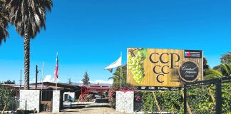 Fiesta de la Vendimia se realizará por primera vez en la Cooperativa Control Pisquero