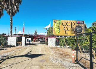 Fiesta de la Vendimia se realizará por primera vez en la Cooperativa Control Pisquero