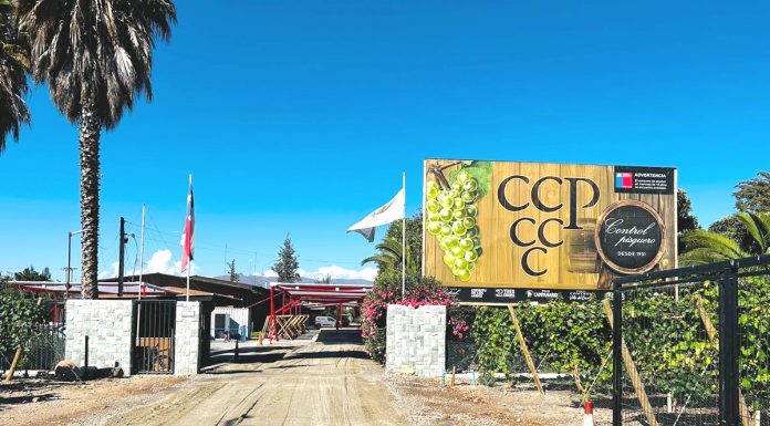 Fiesta de la Vendimia se realizará por primera vez en la Cooperativa Control Pisquero