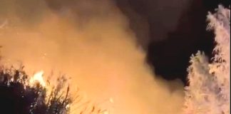 Hace 15 años que Paihuano no tenía un incendio en La Rinconada y Chañar Blanco