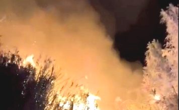 Hace 15 años que Paihuano no tenía un incendio en La Rinconada y Chañar Blanco