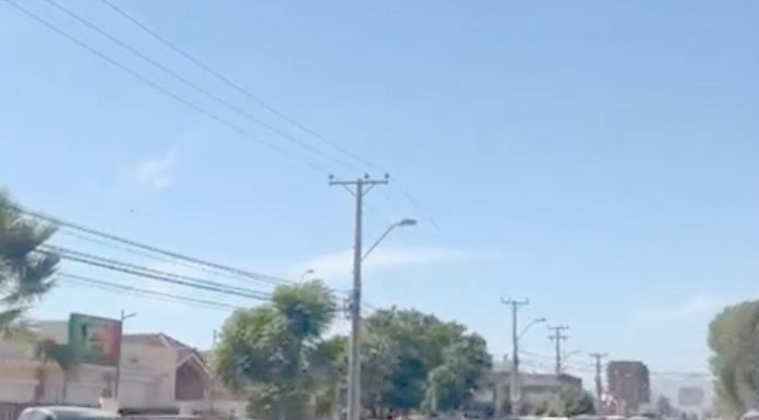 Enormes tacos por bencina gratis: 300 personas llenaron