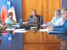 Un «centro comercial a cielo abierto» para revivir la zona