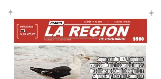 Edicion MARTES 17 FEBRERO 2026