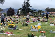 Parque La Foresta regalará flores a los visitantes