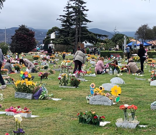Parque La Foresta regalará flores a los visitantes