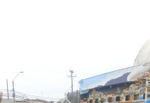 Indagan presunto caso de zoofilia en muerte de perrito