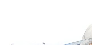 Indagan presunto caso de zoofilia en muerte de perrito