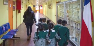 En la Región de Coquimbo: Unas 600 personas están inhabilitadas para trabajar con menores