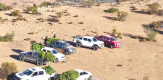 $14 MIL MILLONES DE PÉRDIDAS TIENEN NARCOS DEL LIMARÍ