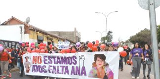 Justicia en suspenso: a un año del crimen de Ana María Pizarro