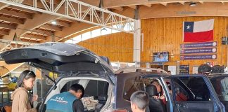 El 30% de los vehículos inspeccionados por SAG en Agua Negra portaba productos de riesgo