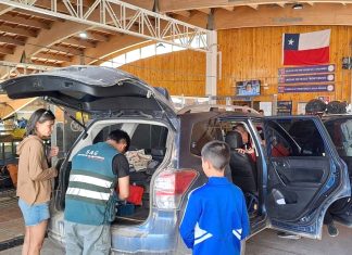 El 30% de los vehículos inspeccionados por SAG en Agua Negra portaba productos de riesgo