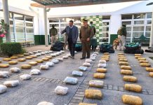 Despliegue carretero en Choapa: OS7 incauta más de 200 kilos de droga y logra seis detenidos